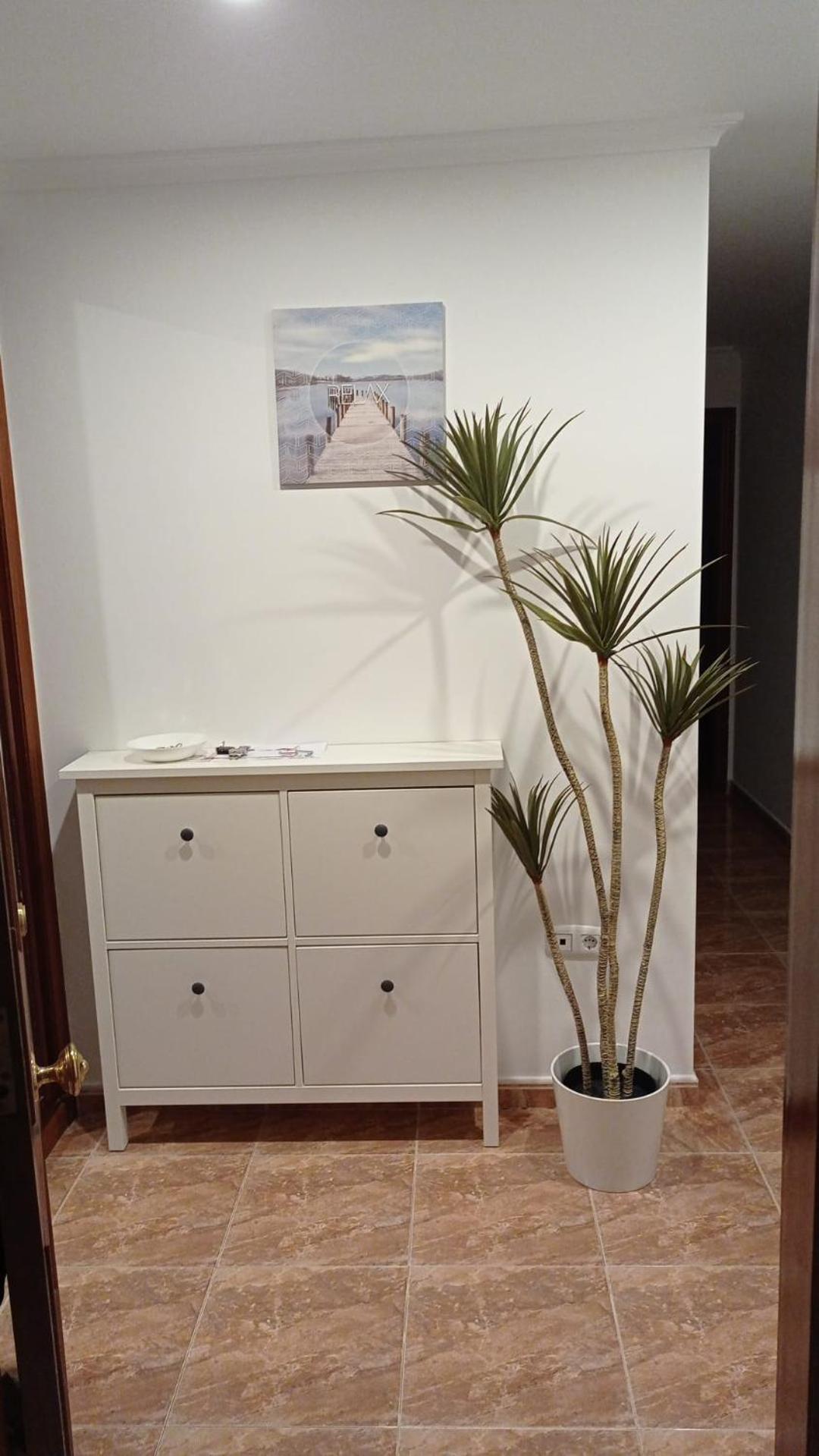 Apartamento Viveiro Apartman Kültér fotó